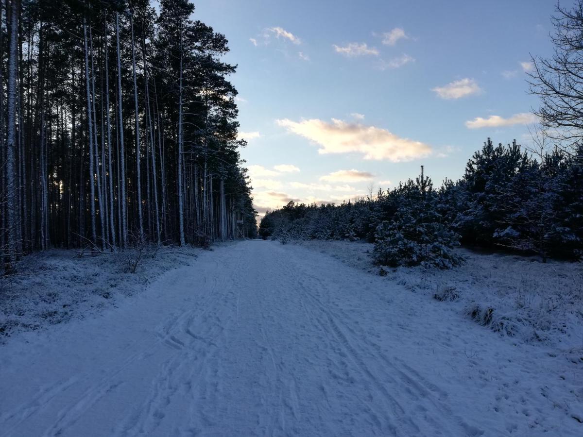 Berolina Lägenhet Graal-Mueritz Exteriör bild