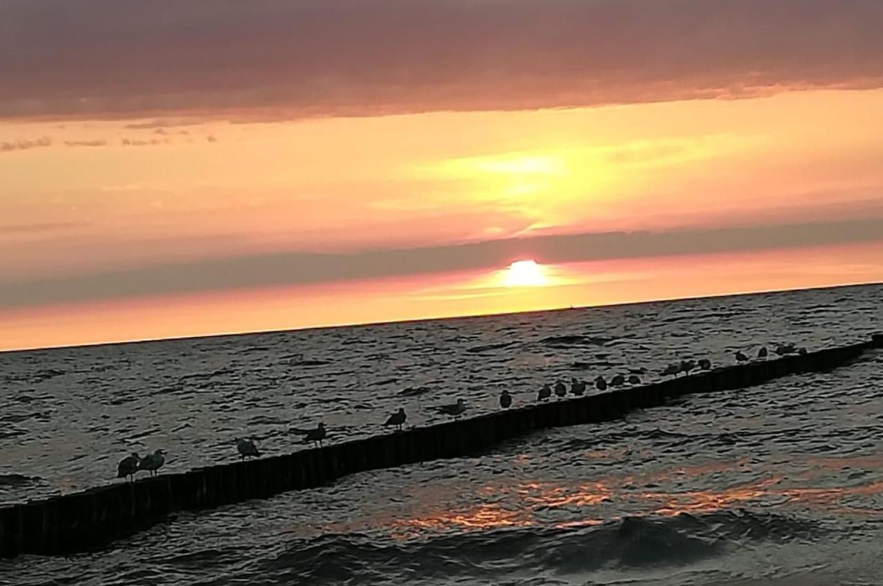 Berolina Lägenhet Graal-Mueritz Exteriör bild