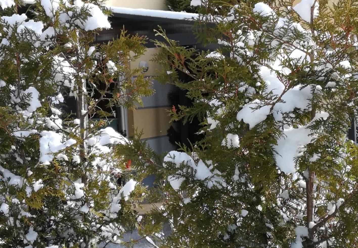 Berolina Lägenhet Graal-Mueritz Exteriör bild